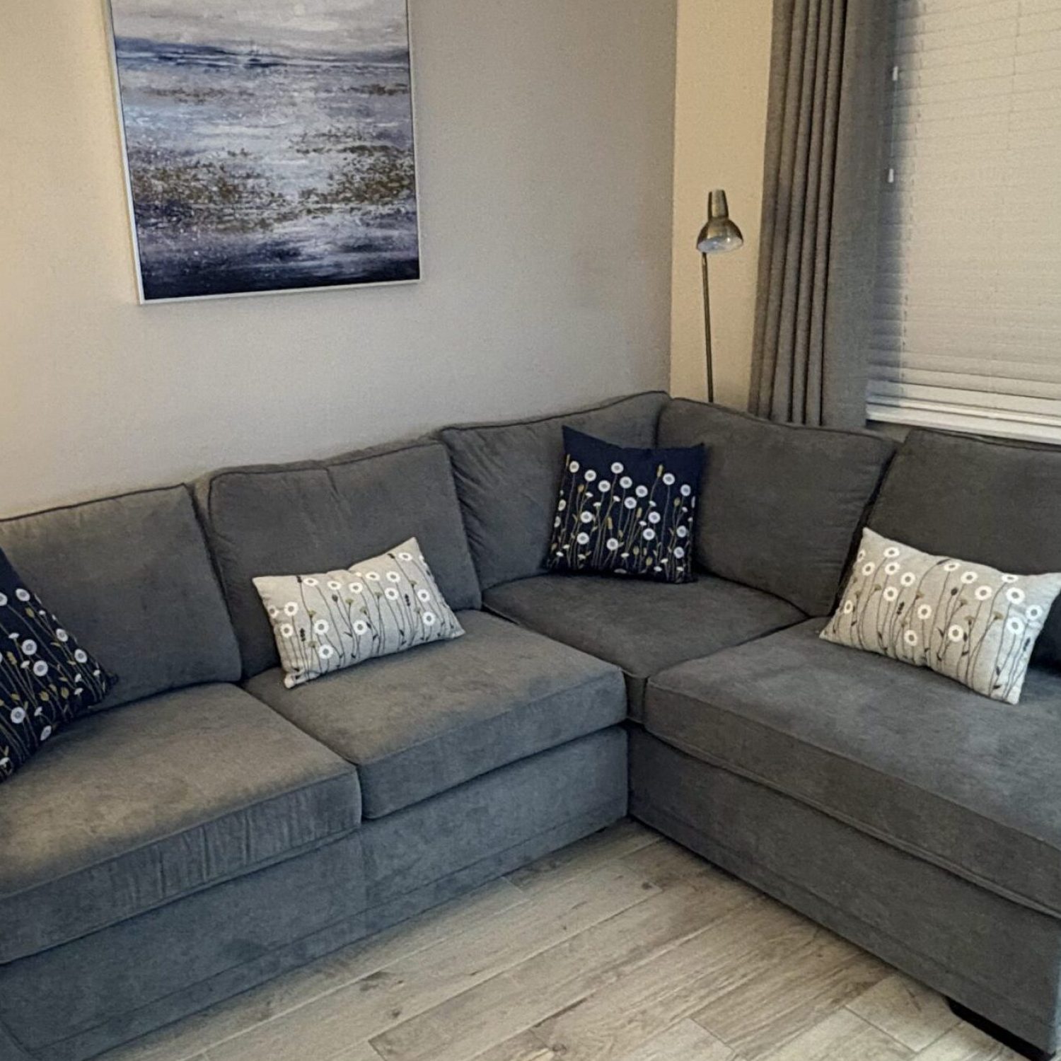 Living room sofa