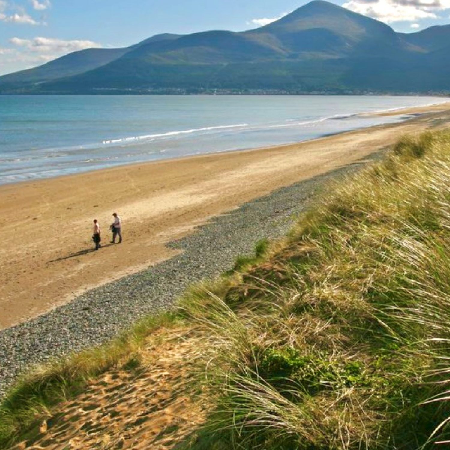 Murlough Beach